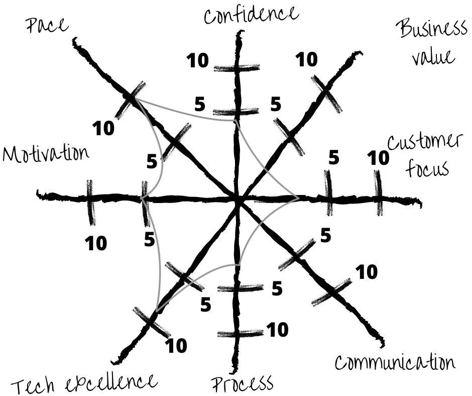 Spider web diagram