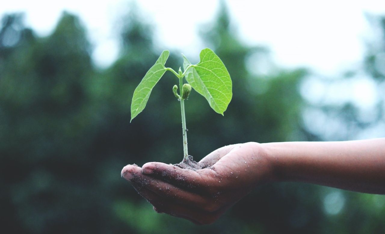 Why ScatterSpoke Is Making a Big Change